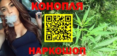 прущие грибы Краснодар