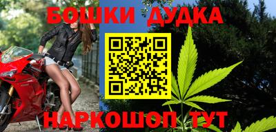 прущие грибы Краснодар